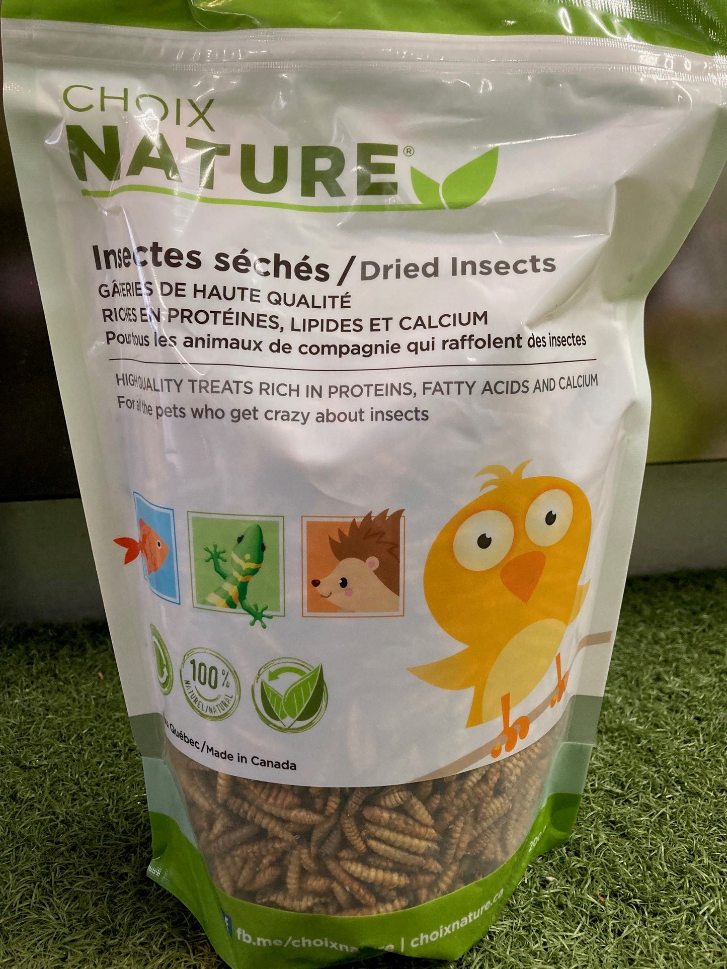 Insectes séchés