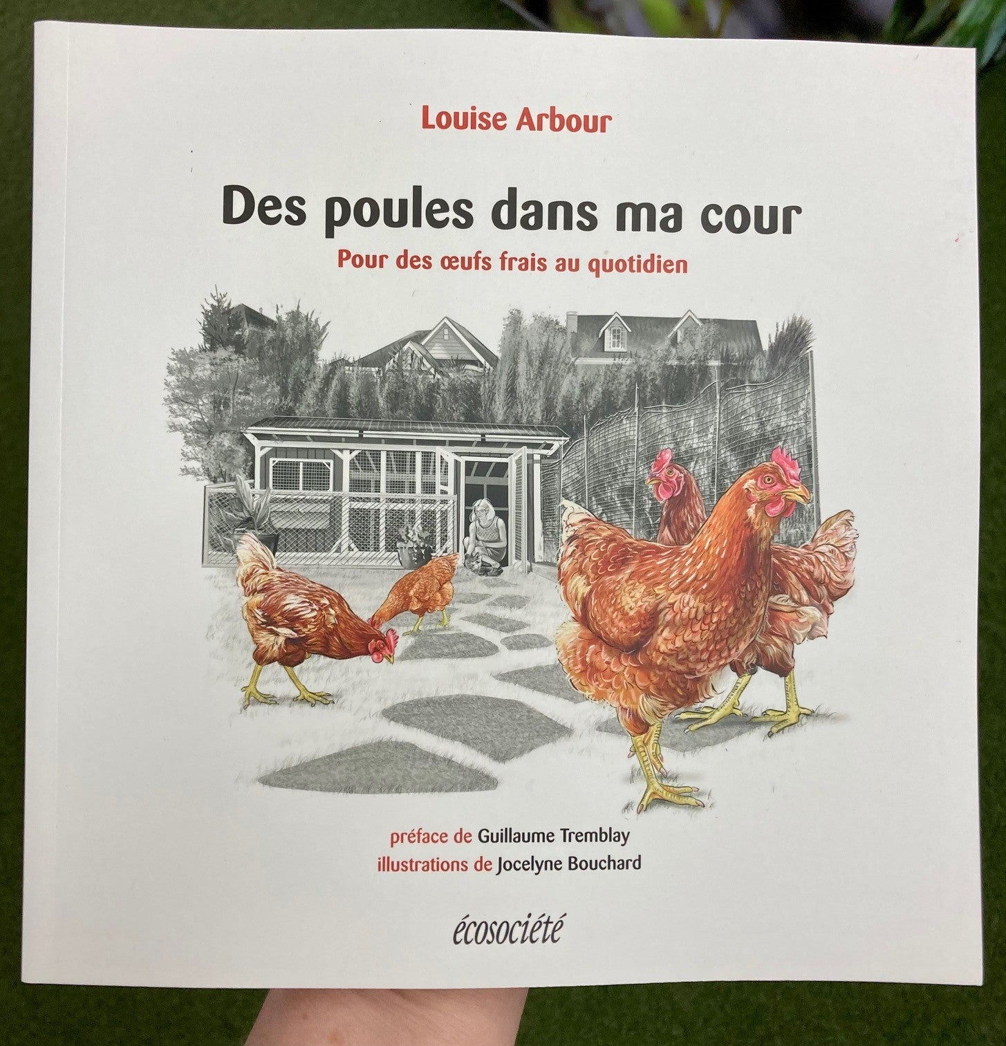 Couverture du livre Des poules dans ma cour par Louise Arbour aux Éditions Écosociété