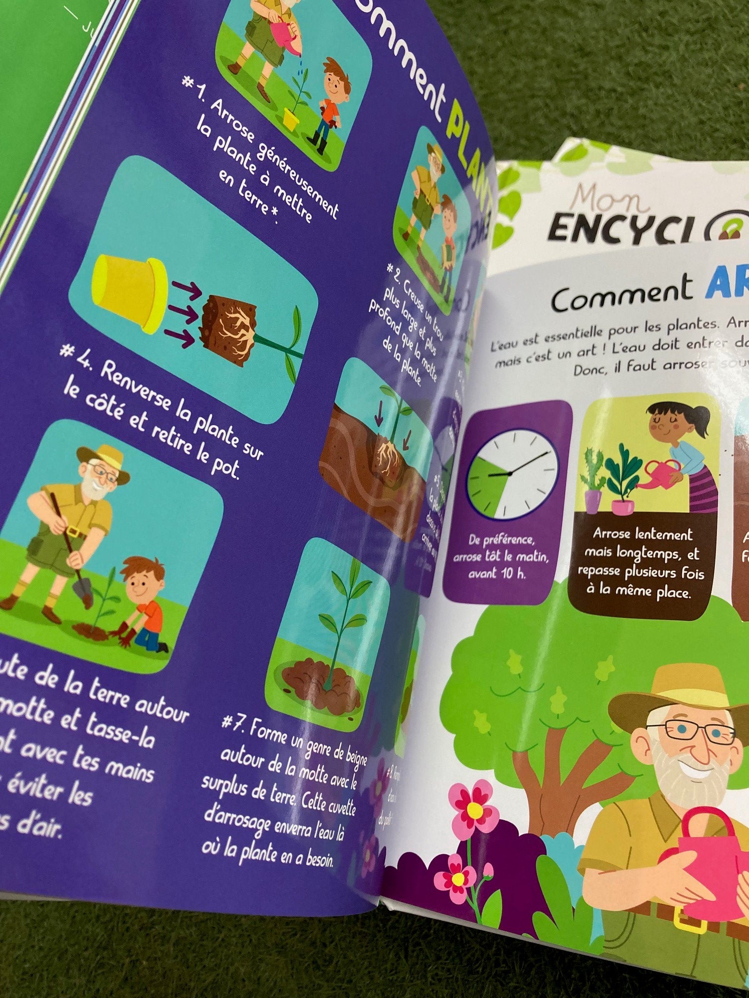 Page illustrée par Emi Ordàs à l'intérieur du livre Mon encyclopetit du Jardinier paresseux