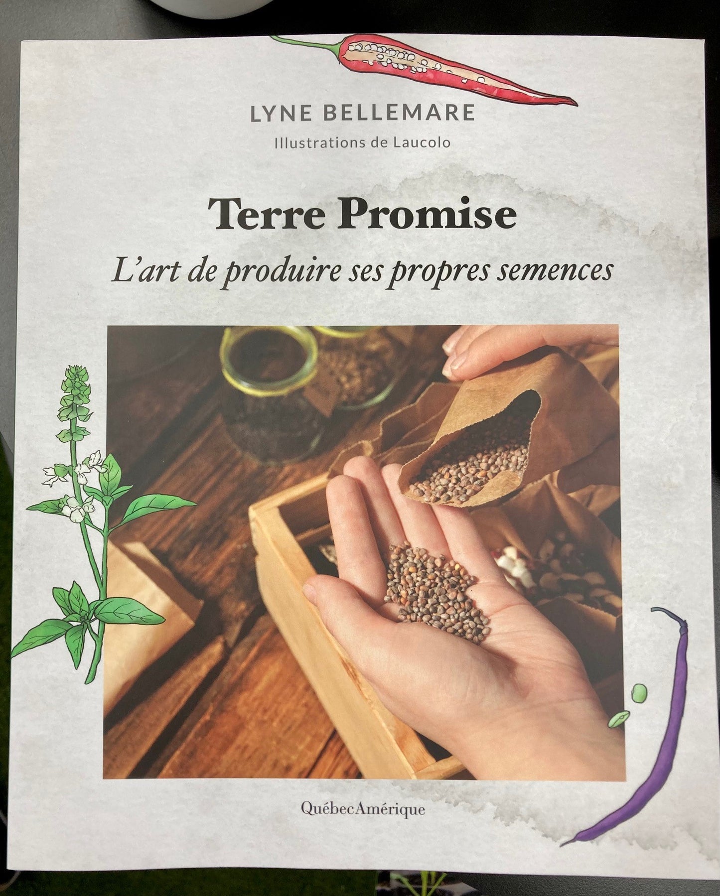 Couverture du livre Terre Promise l'art de produire ses propres semences par Lyne Bellemare