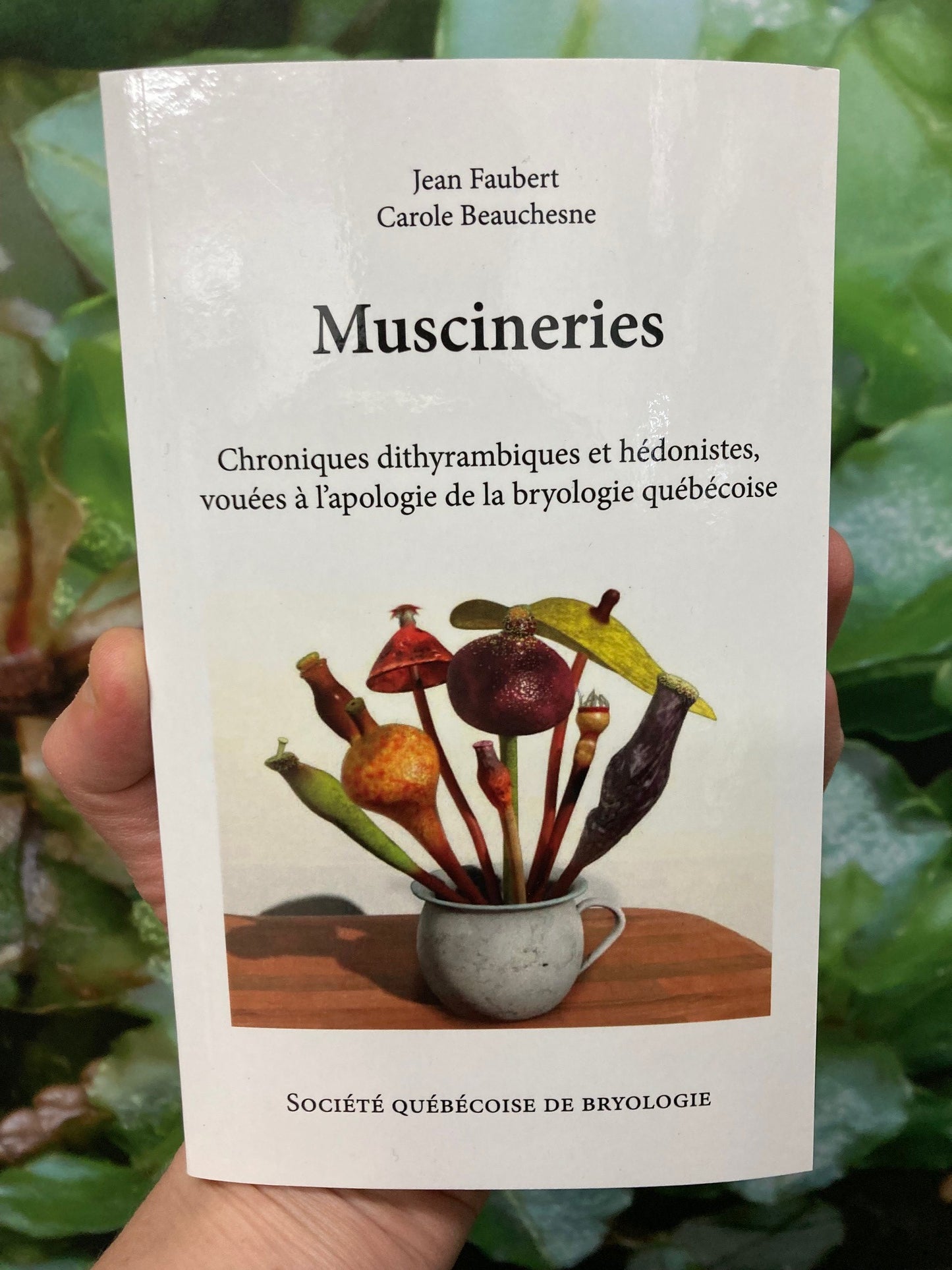Muscineries