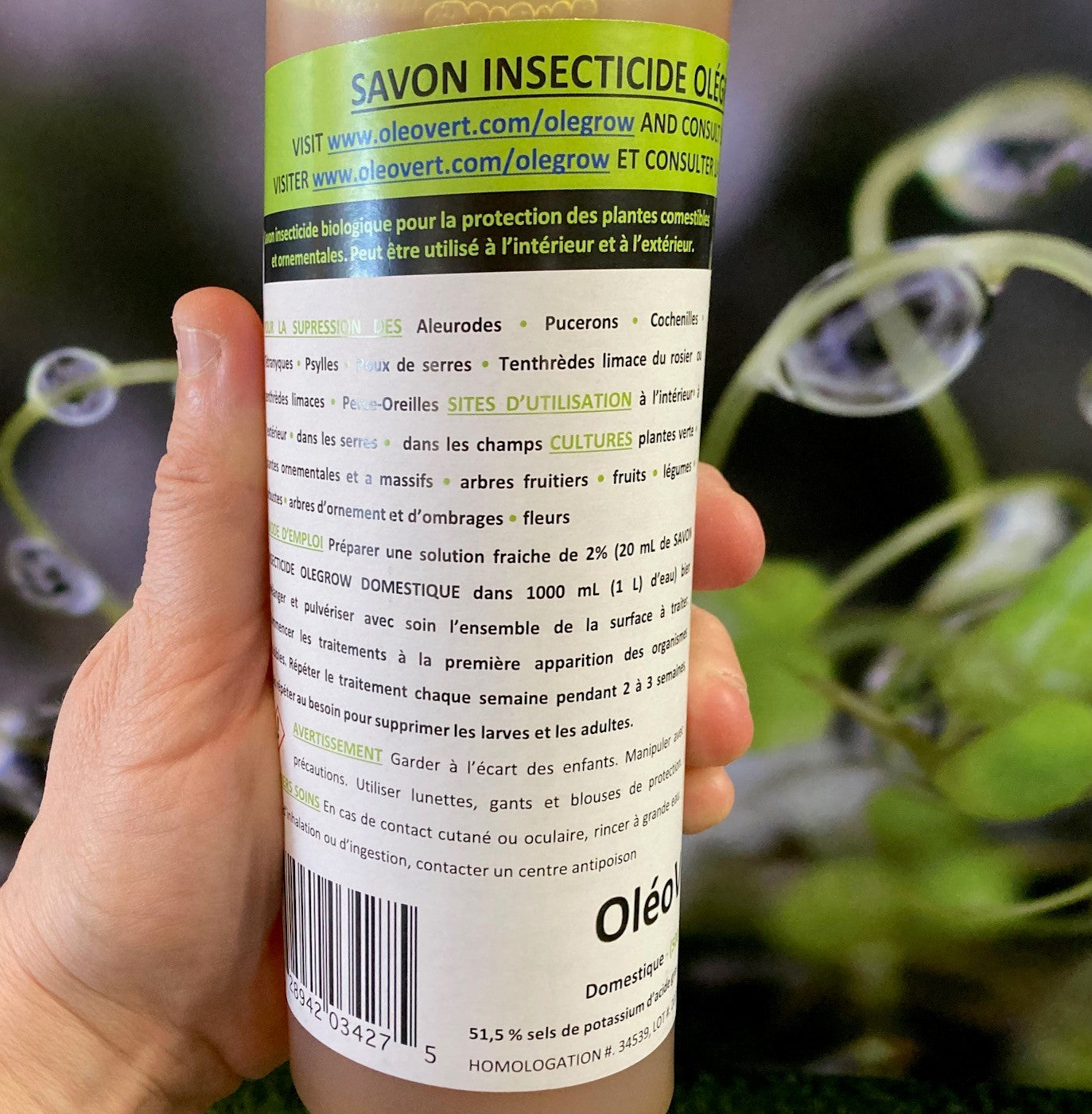 Savon insecticide