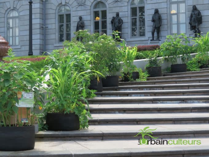 Smart pot